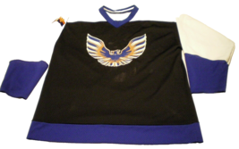 Phoenix Firebirds Minor League Hockey Game Used Large Sweater Jersey (#5 Dawson) - £60.60 GBP