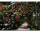 Walkway Attraverso Un Giardino Di Rose California Ca Unp DB Cartolina Z4 - $4.49