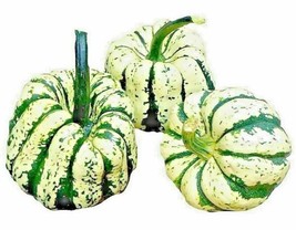 FA Store Sweet Squash Spring Vegetable Tasty 20 Seeds Pumpkin Tasty Heirloom Non - £7.01 GBP