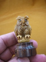 (tb-bird-3) little tan Horned Owl TAGUA NUT palm figurine Bali carving l... - $49.08