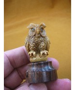 (tb-bird-3) little tan Horned Owl TAGUA NUT palm figurine Bali carving l... - £39.11 GBP