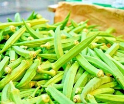 HS 300 Seeds Okra Clemson Garden Vegetable Heirloom All-American Winner Non-Gmo  - £6.54 GBP