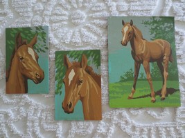 3 Baby Broncos Horses Oil Paint By Number Paintings - 9&quot; X 12&quot; &amp;(2) 6&quot; X 9&quot; - £31.87 GBP