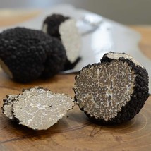 Fresh Black Summer Truffles from Italy - medium - 1 lb - $678.70