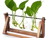 Desktop Glass Plants Bulb Terrarium With Retro Solid Wooden Stand And Me... - £21.89 GBP