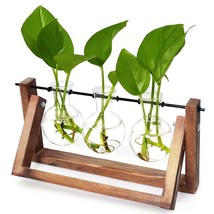 Desktop Glass Plants Bulb Terrarium With Retro Solid Wooden Stand And Metal Swiv - £26.66 GBP