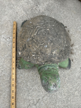 Cement Garden Turtle Garden Yard  Ornament Approx 15” 8” Tall - $88.11