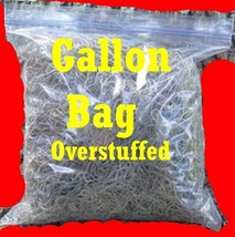 Organic Spanish Moss Florida LIVE Air Plant Overstuffed 1 Gallon Bag Cra... - £4.96 GBP
