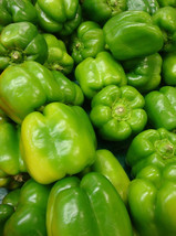 Yolo Wonder Pepper Seeds 50 Sweet Bell Vegetable Fresh Gardening USA Shi... - £4.75 GBP