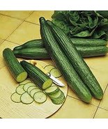 Cucumber, Long Green Improved Seeds, Organic, Non-GMO, 50 Seeds per Pack... - £2.33 GBP