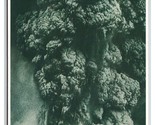 Eruption Di Montante S.Helens Washington Wa Unp Continental Cartolina Z8 - $4.49