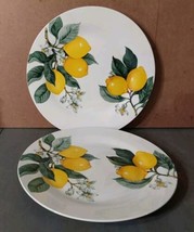 Royal Norfolk Lemon Printed Ceramic Dinner Plate 10 1/2” 2pc - $17.14