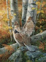 Late Season Grouse Cross Stitch Pattern***L@@K*** - £2.31 GBP