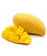Seedling Nam Doc Mai Mango Mangifera Indica Tropical Live Fruit Tree 10In To 24I - $72.00
