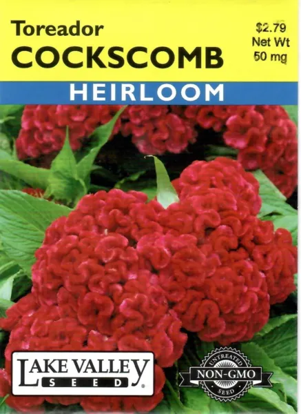 Carnation Chabaud Heirloom Non-Gmo Flower Seeds - Lake Valley 12/24 Fresh Garden - £6.05 GBP