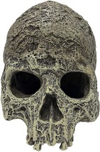 Komodo Textured Human Skull Reptile Hideout Gray 1ea/One Size - £22.11 GBP
