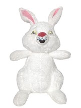Kohl&#39;s Cares How To Catch The Easter Bunny Plush White Stuffed Animal 2020 12&quot; - £15.82 GBP