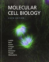 Molecular Cell Biology by Arnold Berk, Matthew P. Scott, Harvey Lodish, ... - $10.84