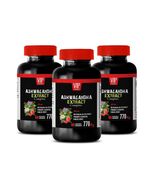 ancient medicinal herb - ASHWAGANDHA ROOT COMPLEX 770mg - ashwagandha ti... - $43.88