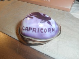 Sea Shell Zodiac Carved Cowrie Seashell Capricorn 2.25&quot;/Purple colored on shell - £14.17 GBP