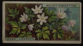 VINTAGE WILLS CIGARETTE CARDS WILD FLOWERS WOOD ANEMONE No # 1 NUMBER X1... - $1.75