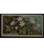 VINTAGE WILLS CIGARETTE CARDS WILD FLOWERS WOOD ANEMONE No # 1 NUMBER X1... - £1.37 GBP