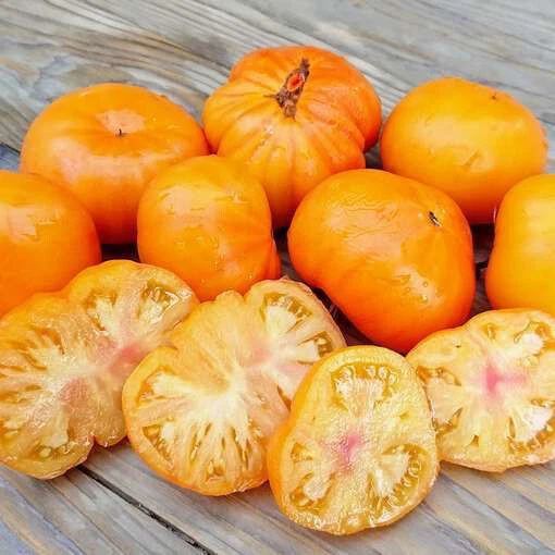 50+ AZOYCHKA TOMATO SEEDS - FRESH FOR YOUR VEGETABLE GARDENS - $2.89