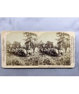 6th US Calvary Camp Tampa Florida  Inspection Photo Stereoview Card - $936.58 MXN