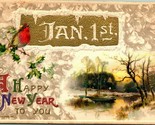 John Winsch A Happy New Year Jan 1st Gilt Icicles Embossed 1911 DB Postcard - $4.17