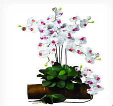 Nearly Natural 2044-WH-12 31.5 in. H White Phalaenopsis Stem - Set of 12 - £128.31 GBP