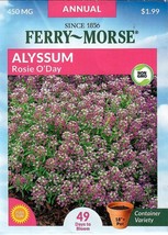 GIB Alyssum Rosie O Day Flower Seeds Ferry Morse  - $10.00