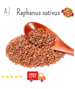 Premium Organic DRIED Raphanus sativus بذور الفجل - $17.09+