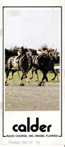 1979 - November 10th - Calder Race Course program in Excellent Condition - £15.98 GBP