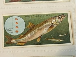 WD HO Wills Cigarettes Tobacco Trading Card 1910 Fish Bait Lure Smelt #2... - $19.69