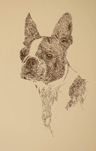 Boston Terrier dog art portrait drawing 66/500 Kline adds dog&#39;s name fre... - £38.75 GBP