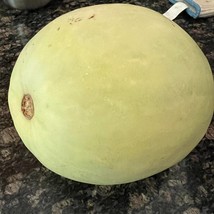 Fast Ship USA Seller 20 Desert King Watermelon Seeds - $13.30