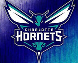 Nike Golf Charlotte Hornets NBA Basketball Mens Polo XS-4XL, LT-4XLT New - $44.99+