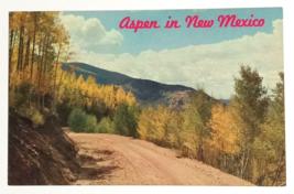 Aspen Trees in New Mexico Autumn Fall Foliage NM UNP Petley Postcard c1960s - $5.99