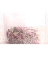 Under The Sun, 50 White, No String, Fold Over Make Your Own Tea Bag - $5.34 CAD