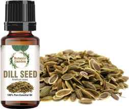 10 ml Natural Pure Dill Seed/ Anethum sowa Essential Oil - $29.39