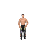 Fandango Johnny Curtis WWE Basics Series 36 #11 Wrestling Figure 2011 Ma... - £14.49 GBP