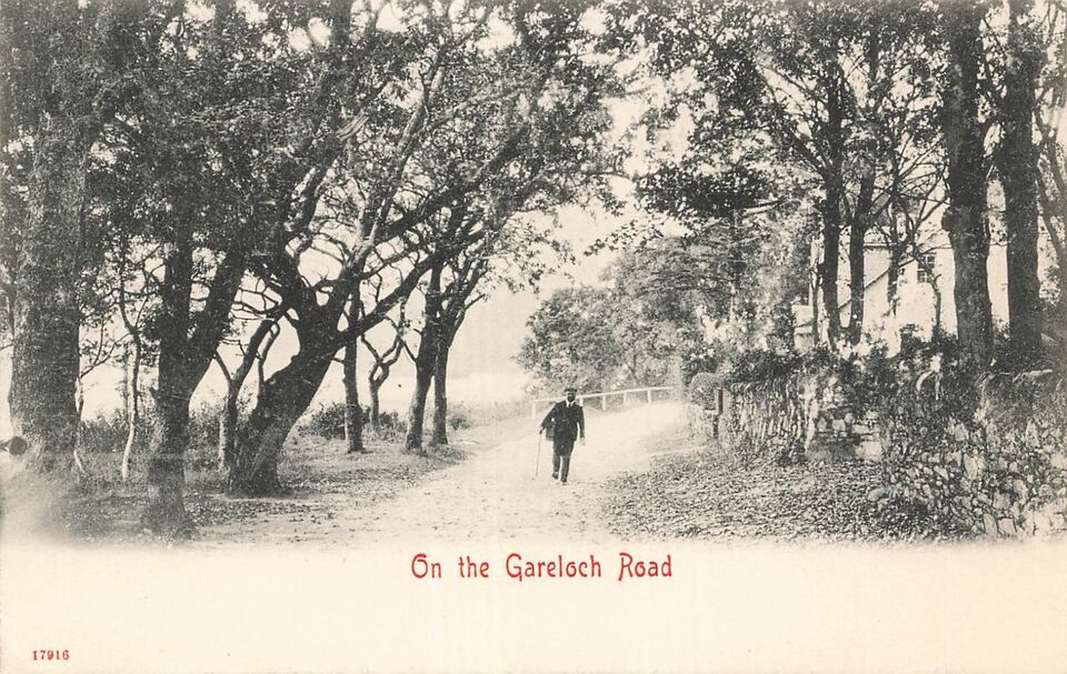 Primary image for ON THE GARELOCH ROAD ARGYLL & BUTE SCOTLAND (near Shandon)~PHOTO POSTCARD