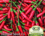 40 Seeds Thai Pepper Non-Gmo Fresh Garden - $10.00