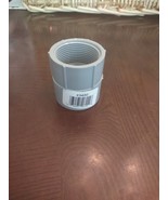 Carlon 1-1/4 In. Female Threaded &amp; Socket PVC Conduit Female Adapter E942GR - $12.02 CAD