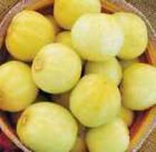 Lemon Cucumbers SeedOrganic Non Gmo - Heirloom Seeds – Vegetable Seeds 10 Seeds - £8.63 GBP