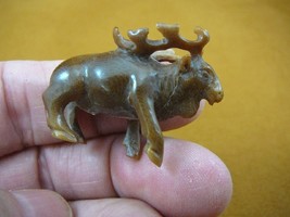 (tb-elk-2) little tan buck Elk Tagua NUT palm figurine Bali carving Moos... - £38.37 GBP