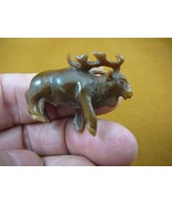 (tb-elk-2) little tan buck Elk Tagua NUT palm figurine Bali carving Moos... - £38.89 GBP