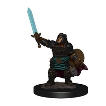 Dungeons & Dragons: Icons of the Realms Premium Figures W04 Dwarf Paladin Female - $11.89