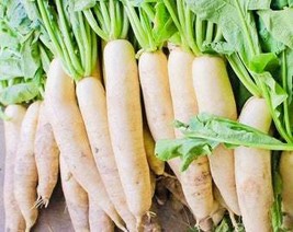 Daikon Radish Seeds Fresh Gardening Usa Seller - £6.91 GBP