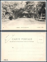 ALGERIA Postcard - Biskra, Allee des Gommiers GZ13 - $2.70